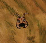 飢荒 (Don't Starve) 哈姆雷特全物品製作方法與代碼
