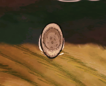 飢荒 (Don't Starve) 哈姆雷特全物品製作方法與代碼