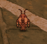 飢荒 (Don't Starve) 哈姆雷特怪物代碼、屬性與掉落