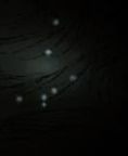 飢荒 (Don't Starve) 連線版全物品製作方法與使用技巧