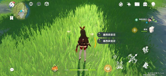 原神 (Genshin Impact) 雪葬的星銀八個石碑位置與點亮方法