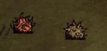 飢荒 (Don't Starve) 未採用道具與外觀介紹