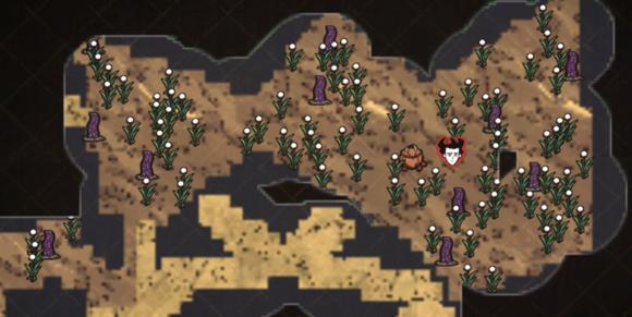 飢荒 (Don't Starve) 單機版與連線版區別對比詳解