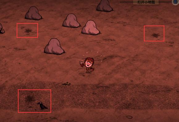 飢荒 (Don't Starve) 單機版與連線版區別對比詳解