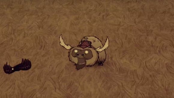 飢荒 (Don't Starve) 連線版全物品合成圖文教學
