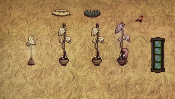 飢荒 (Don't Starve) 連線版全物品合成圖文教學