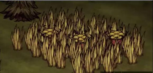 飢荒 (Don't Starve) 陷阱介紹與應對方法