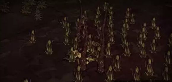 飢荒 (Don't Starve) 陷阱介紹與應對方法