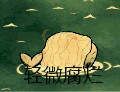飢荒 (Don't Starve) 海難怪物屬性掉落與圖鑑