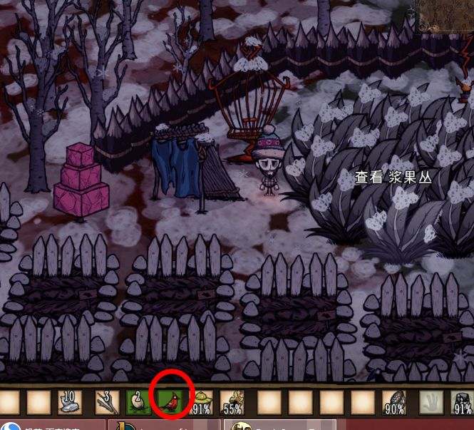 飢荒 (Don't Starve) 回復鳥飽食度方法說明