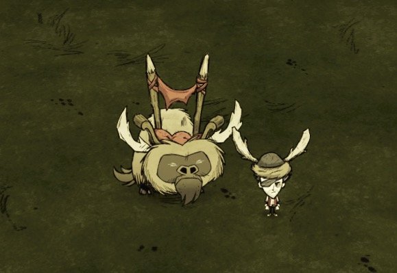 飢荒 (Don't Starve) 連線版馴牛圖文教學