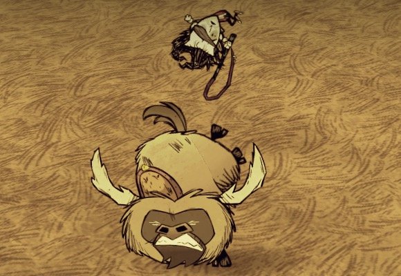 飢荒 (Don't Starve) 連線版馴牛圖文教學