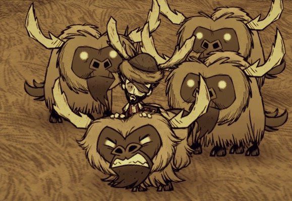 飢荒 (Don't Starve) 連線版馴牛圖文教學