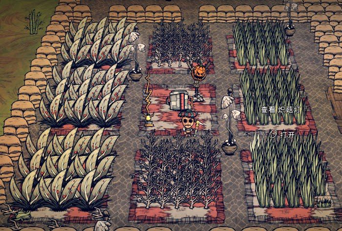 飢荒 (Don't Starve) 連線版實用基地佈局圖與技巧