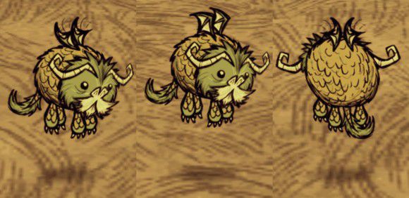 飢荒 (Don't Starve) 外觀取得使用方法與搭配方法
