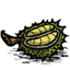 飢荒 (Don't Starve) TGP連線版食譜與物品合成表大全