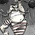 飢荒 (Don't Starve) TGP版全人物屬性與解鎖方法介紹