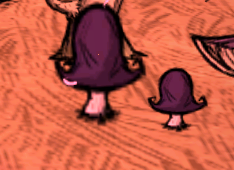 飢荒 (Don't Starve) 連線版新內容圖文介紹