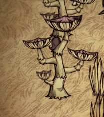 飢荒 (Don't Starve) 連線版新內容圖文介紹
