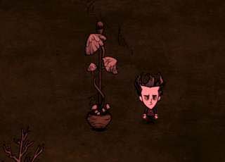 飢荒 (Don't Starve) 連線版新內容圖文介紹