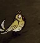 飢荒 (Don't Starve) 連線版新內容圖文介紹