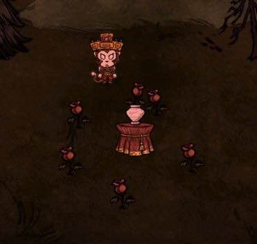 飢荒 (Don't Starve) 連線版新內容圖文介紹
