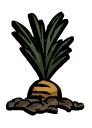 飢荒 (Don't Starve) 植物、生物材料效果與可製作物品分享