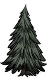 飢荒 (Don't Starve) 植物、生物材料效果與可製作物品分享 圖74