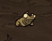 飢荒 (Don't Starve) 新手生存技巧與怪物打法方法