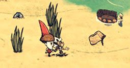 飢荒 (Don't Starve) 海難地皮基礎知識與屬性特點詳解 圖21