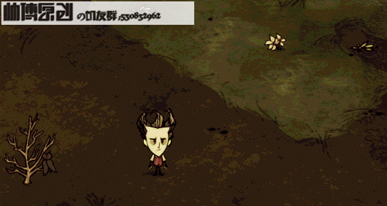 飢荒 (Don't Starve) 大型基地建設與佈局圖文攻略