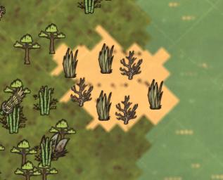 飢荒 (Don't Starve) 海難渡渡鳥屬性特徵與繁殖方法圖文說明