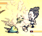 飢荒 (Don't Starve) 海難渡渡鳥屬性特徵與繁殖方法圖文說明