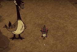 飢荒 (Don't Starve) 海難旋風海豹屬性特點與打法圖文攻略