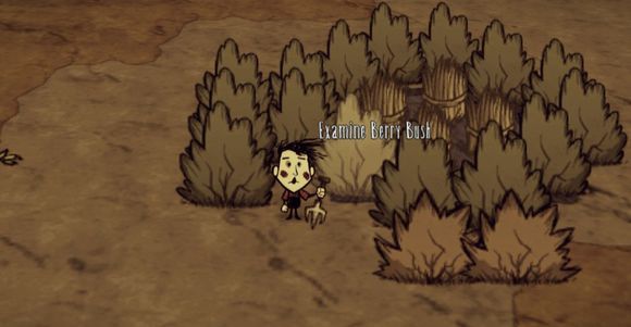 飢荒 (Don't Starve) 漿果灌木叢制作圖文教學