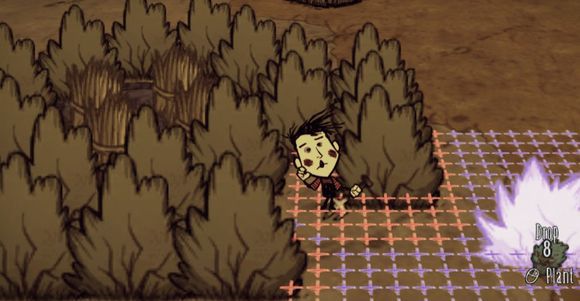 飢荒 (Don't Starve) 漿果灌木叢制作圖文教學