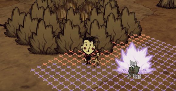 飢荒 (Don't Starve) 漿果灌木叢制作圖文教學