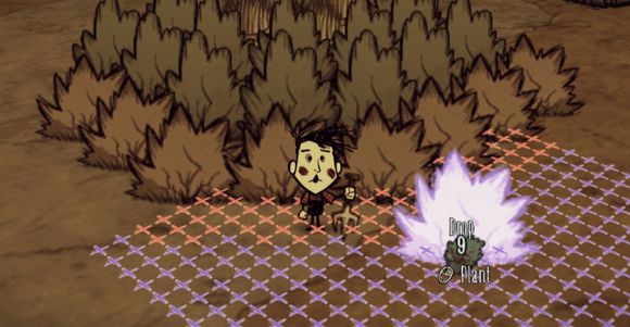 飢荒 (Don't Starve) 漿果灌木叢制作圖文教學