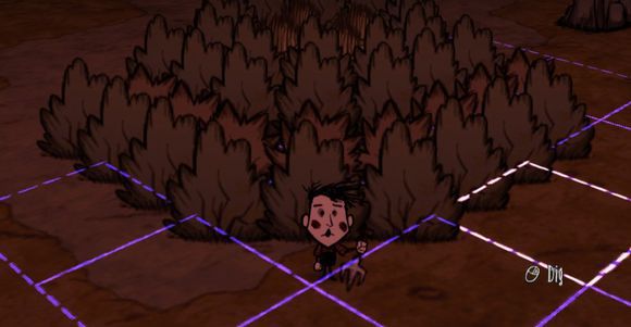 飢荒 (Don't Starve) 漿果灌木叢制作圖文教學