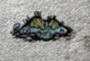 飢荒 (Don't Starve) 巨人的統治新手生存教學
