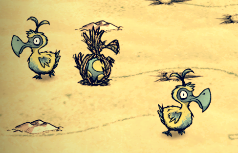 飢荒 (Don't Starve) 海難渡渡鳥繁殖與孵化方法