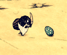 飢荒 (Don't Starve) 海難渡渡鳥繁殖與孵化方法