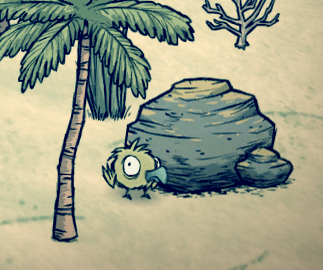飢荒 (Don't Starve) 海難渡渡鳥繁殖與孵化方法