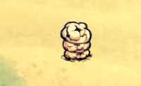 飢荒 (Don't Starve) 食物物品與玩法技巧整理