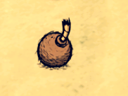 飢荒 (Don't Starve) 食物物品與玩法技巧整理