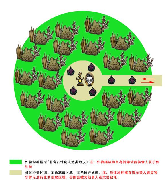 飢荒 (Don't Starve) 食人花生長與採集高效方法