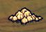 飢荒 (Don't Starve) DLC海難食譜圖鑑與食物屬性詳解