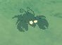 飢荒 (Don't Starve) DLC海難食譜圖鑑與食物屬性詳解