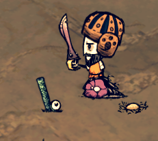 飢荒 (Don't Starve) DLC海難地形介紹與初期生存技巧解析