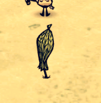 飢荒 (Don't Starve) 海難工具物品與武器裝備圖文分享